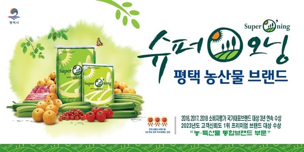 평택 브레인